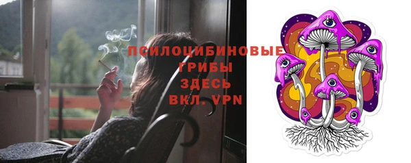 стаф Алзамай