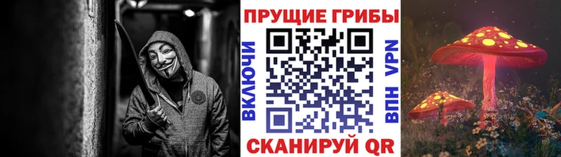 Псилоцибиновые грибы мицелий даркнет сайт omg онион Берёзовский
